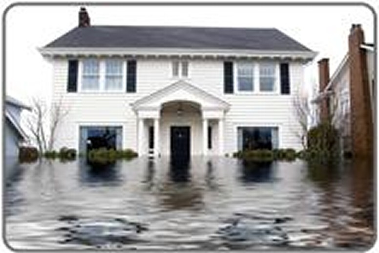 Flood Cleanup, AZ offers Water Damage, Flood Service, Water Extraction, Flood Company, Water Restoration, Flood Extraction, Water Removal, 24-Hour Emergency, Mold Repair and Flooded Home near in AZ Flood Cleanup Company, AZ Flood Company, AZ Flood Repair, AZ Water Damage Service, AZ