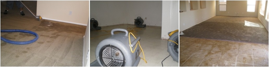 Flood Cleanup Anthem, AZ offers Water Damage, Flood Service, Water Extraction, Flood Company, Water Restoration, Flood Extraction, Water Removal, 24-Hour Emergency, Mold Repair and Flooded Home Near me in Anthem, AZ    Flood Cleanup Company Anthem, AZ Flood Company Anthem, AZ   Flood Repair Anthem, AZ Water Damage Service Anthem, AZ