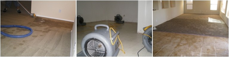 Flood Cleanup Peoria, AZ offers, Water Damage, Flood Service, Water Extraction, Flood Company, Water Restoration, Flood Extraction, Water Removal, 24-Hour Emergency, Mold Repair and Flooded Home Near me in Peoria, AZ