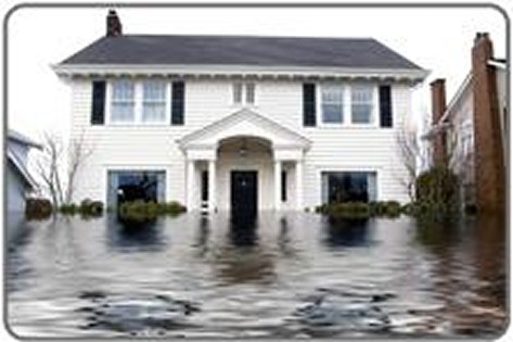 Flood Cleanup Queen Creek, AZ  offers Water Damage, Flood Service, Water Extraction , Flood Company, Water Restoration, Flood Extraction, Water Removal, 24-hour Emergency, Mold Repair and Flooded Home near in Queen Creek AZ